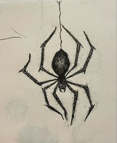 a black and white drawing of a spider