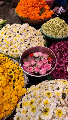 many different types of flowers in bowls on the ground