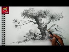 someone is drawing a tree with pencils