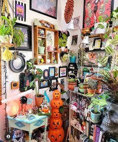 a room filled with lots of plants and pictures