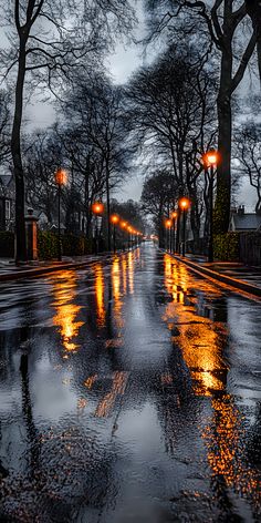 the street is wet and it's raining at night