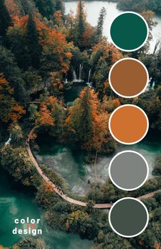 an aerial view of trees and water with different colors