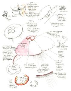 a drawing of an umbrella with instructions on how to make it look like it's raining