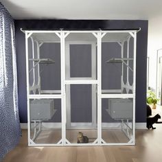 a cat sitting on the floor in front of a white closet with glass doors and shelves