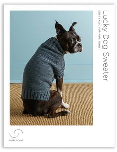 a dog wearing a sweater sitting on the floor