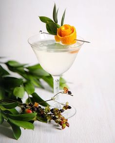 an orange flower is placed on the top of a cocktail glass filled with white liquid and garnished with green leaves