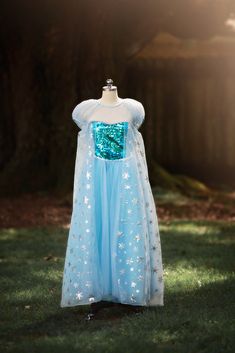 Our iconic Ice Queen Gown, now available for women! This matches perfectly with our girls' Ice Queen gown, and our Ice Queen Doll Dress! The sheer embellished cape is attached to layers of tuling and a sparkly sequin bodice. Finished off with puff sleeves and sweet trim, this dress is a real gown and not a cheap plastic costume. We are never itchy and never use glitter. A tremendous value for such cuteness. 100% poly self, fully lined and back button. Hand wash, hang dry. DO NOT WASH IN MACHINE, Pink Princess Gown, Ice Queen Dress, Queen Gown, Gatsby Girl, Plastic Costume, Princess Katherine, Princess Dress Up, Gown For Women, Girls Costumes