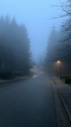 a foggy road with street lights and trees on both sides in the evening time