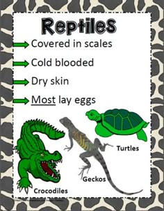 an image of reptiles that are labeled in the animal's body and their names