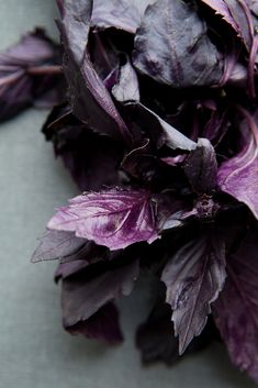 some purple leaves are laying on the table