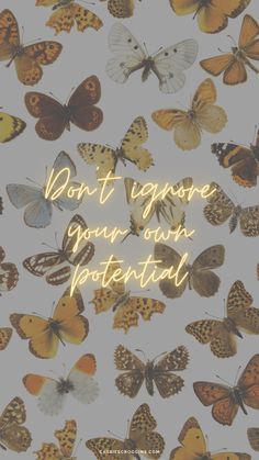 butterflies with the words don't ignore your own potential on it in gold lettering