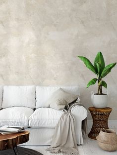 a white couch sitting next to a table with a potted plant on top of it