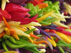 many different colored peppers on display for sale