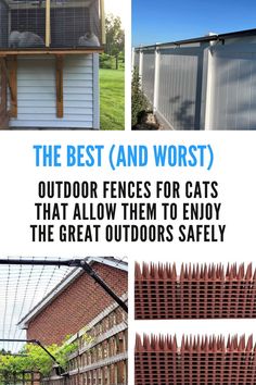 Discover the best types of cat outdoor fences that provide security and freedom for your cat. Cat Proof Fence, Fences Ideas