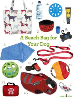 a beach bag for your dog is packed with items to keep it safe from the sun