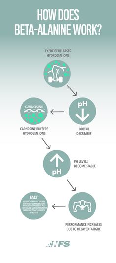Fitness Results, Beta Alanine, Workout At Work, Muscle Contraction, Workout Results, Bodybuilding Supplements, 8th Sign, Higher Dose, Ph Levels