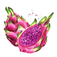 the dragon fruit is cut in half and ready to be eaten royalty illustration on white background