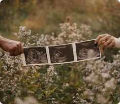 two people holding up pictures in front of some wildflowers and plants with their hands