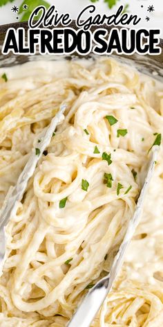 Olive Garden Alfredo Sauce is hands down one of the best pasta sauces out there. This copycat recipe is only 5 steps to make, and it tastes just like Olive Garden’s delicious original recipe. It’s creamy, cheesy, and super easy to make right from the comfort of home. Olive Garden Chicken Alfredo Recipe, Alfredo Sauce With Milk, Easy Alfredo Sauce, Copycat Olive Garden Alfredo, Olive Garden Alfredo Sauce Recipe, Olive Garden Alfredo, Starchy Sides, Easy Alfredo, Crockpot Dessert