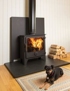 a dog sitting in front of a wood stove