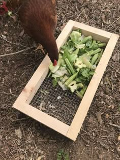 a brown chicken standing next to a pile of green vegetables on top of the ground