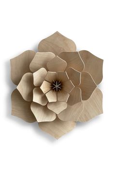 a large wooden flower on a white background