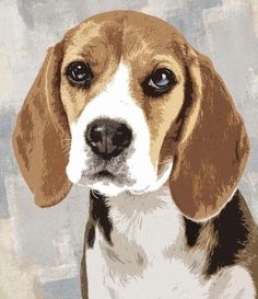 a brown and white dog is looking at the camera