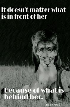 an image of a lion with the caption'it doesn't matter who or what is in front of her