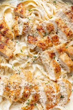 chicken alfredo with parmesan cheese in a casserole dish