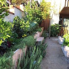 an outdoor garden area with various plants and flowers on the side of the building,