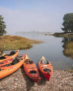 three kayaks are lined up next to each other on the shore near some water