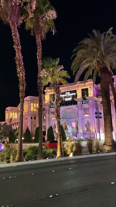 palm trees and buildings lit up at night