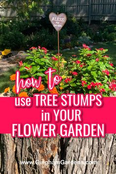 a tree stump with flowers in it and the words how to use tree stumps in your flower garden