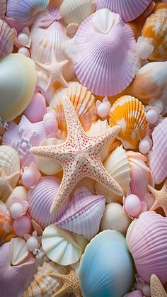 starfish and seashells are grouped together on the beach