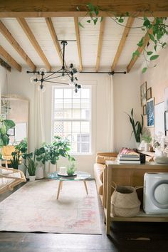 a living room filled with furniture and plants