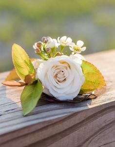 a white rose with green leaves on a wooden surface