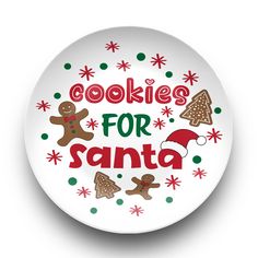 a white plate with cookies for santa on it