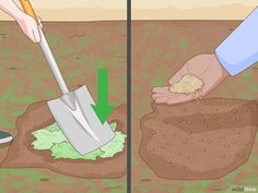 a person digging dirt with a shovel and scooping it into the ground to plant seeds