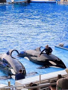 two people standing on top of dolphins in an enclosure