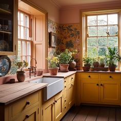 a kitchen filled with lots of potted plants next to a sink and window sill