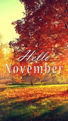 an autumn scene with the words hello november