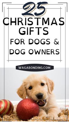 christmas gifts for dogs and their owners