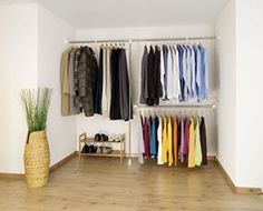 an organized closet with clothes and shoes hanging on the wall, next to a plant