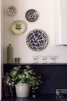 plates are hanging on the wall above a potted plant