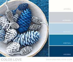 blue and gray color palette with pine cones