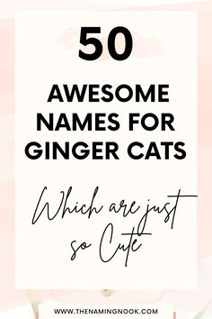 the words 50 awesome names for ginger cats which are just so cute in black and white