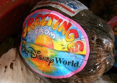 there is a sign on the rock that says greeting from disney world