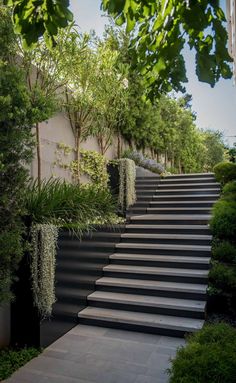 the stairs are lined with plants and trees