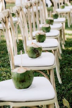 rows of white chairs with green apples on them