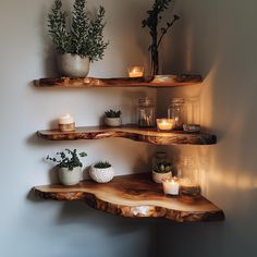 three wooden shelves with candles and plants on them